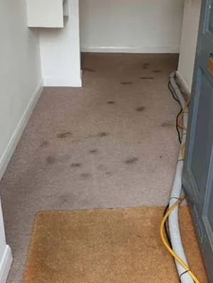 floor cleaning